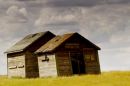 Farm Lumsden